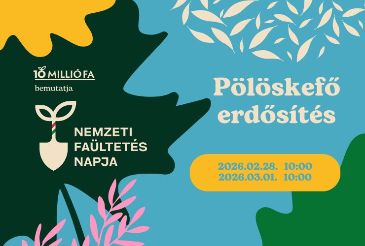 Pölöskefő – Reforestation – National Tree Planting Day 2026